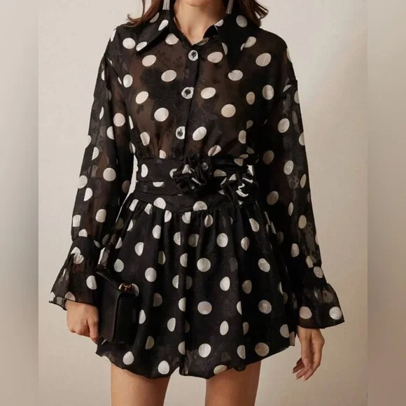Black and White Polka Dot Sheer Chiffon Dress - Picture 3 of 5